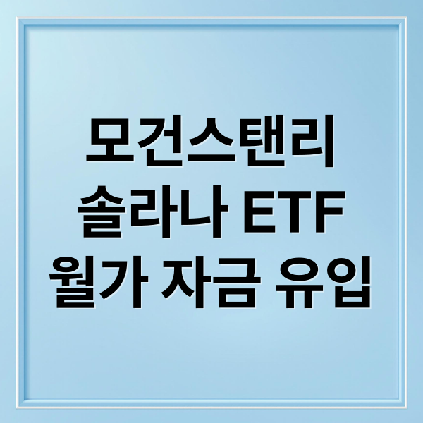 thumbnail 1768313164936 a8w7ai2q6d